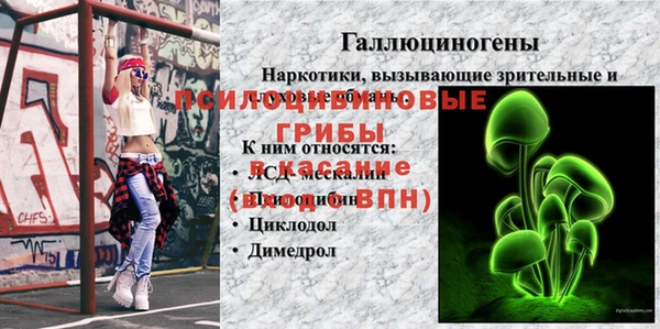 МДПВ Арсеньев