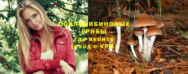 метадон Армянск