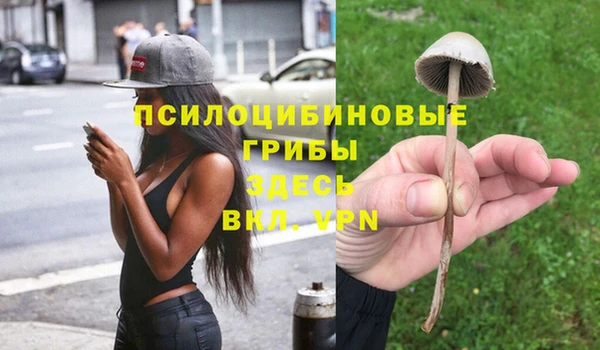 амф Баксан
