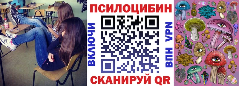 Псилоцибиновые грибы Psilocybe  купить наркоту  Октябрьск 