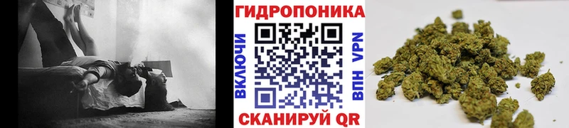 Бошки Шишки LSD WEED  купить наркотик  Октябрьск 